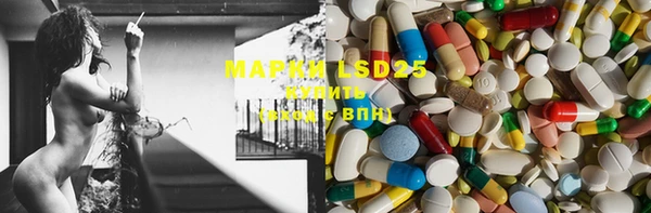 mdpv Инсар