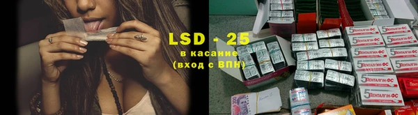 каннабис Инта