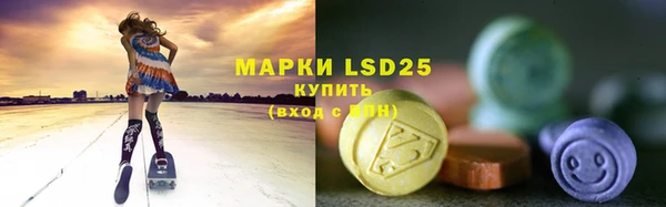 mdpv Инсар