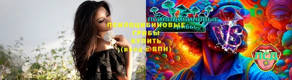 гашик Иннополис